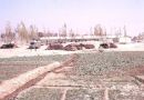 Afghani Nomads & Tents, Outskirts of Kabul